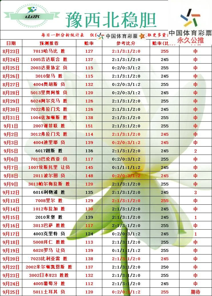 老张3.0赛事分析
