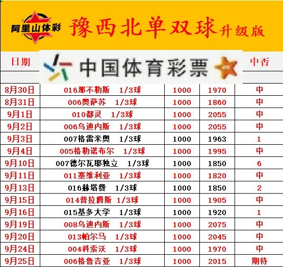 老张3.0赛事分析