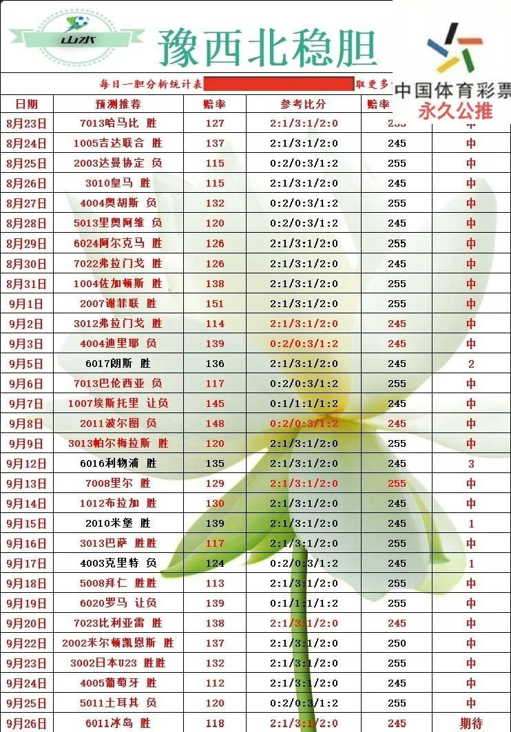 财鑫阿里山豫西北伟哥老张篮球赛事分析