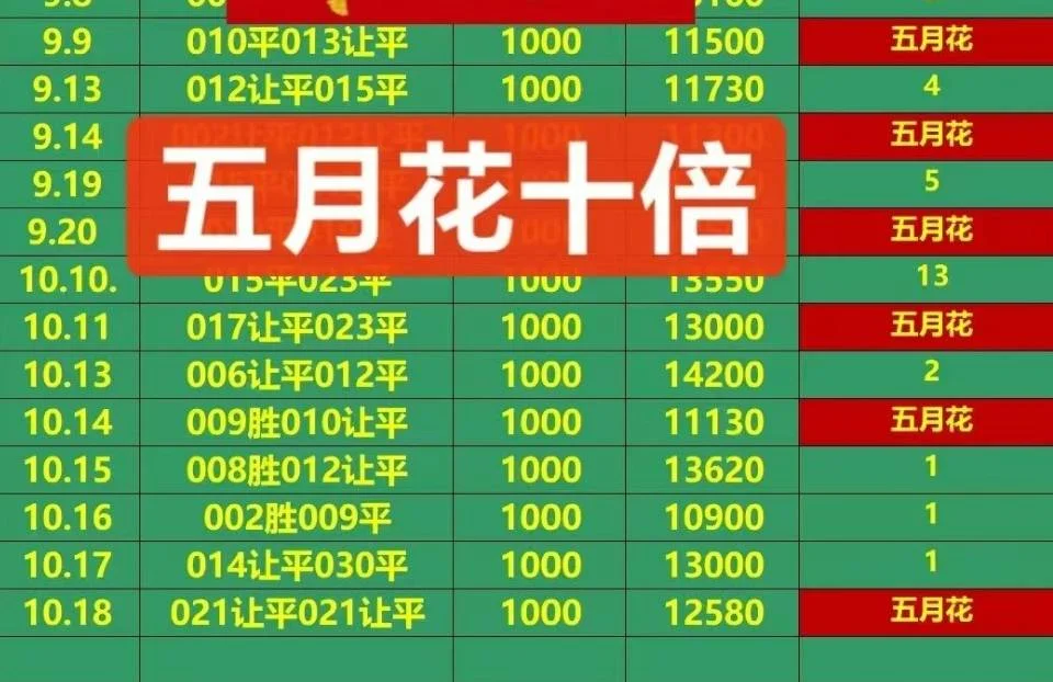五月花稳中相遇赛事分析