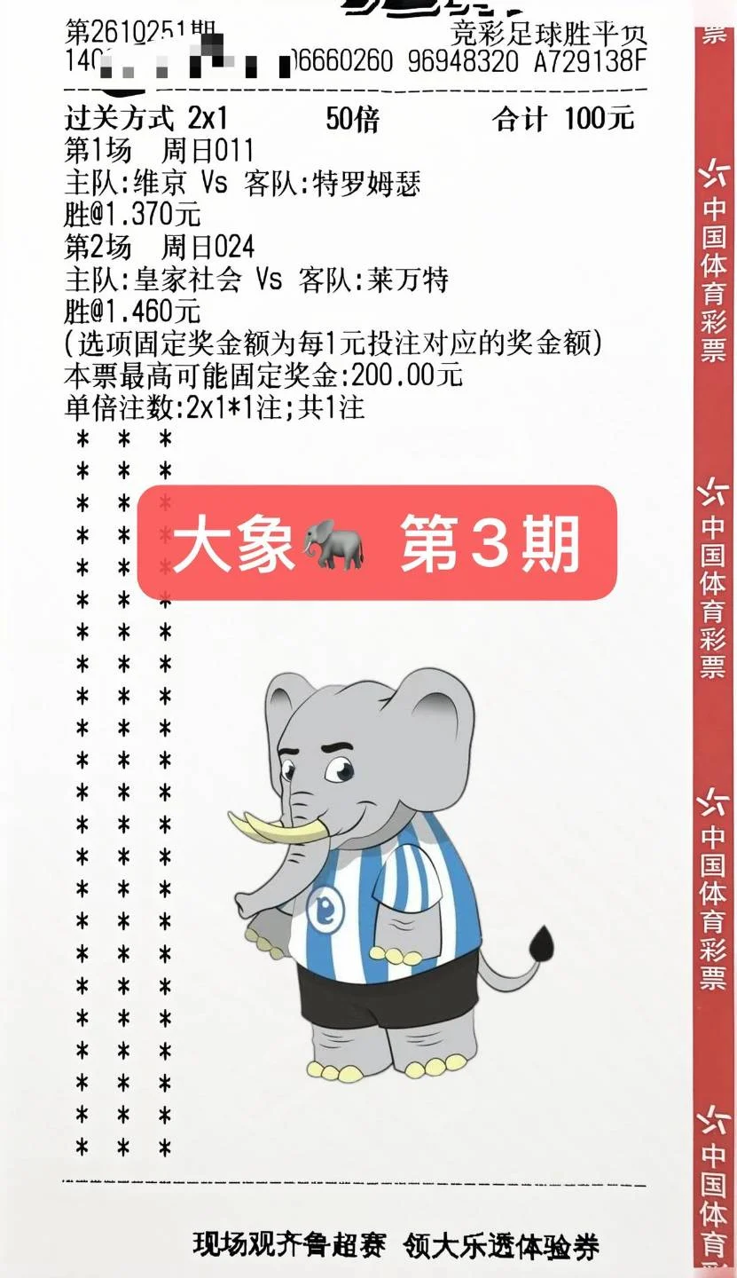 大象2.0赛事分析