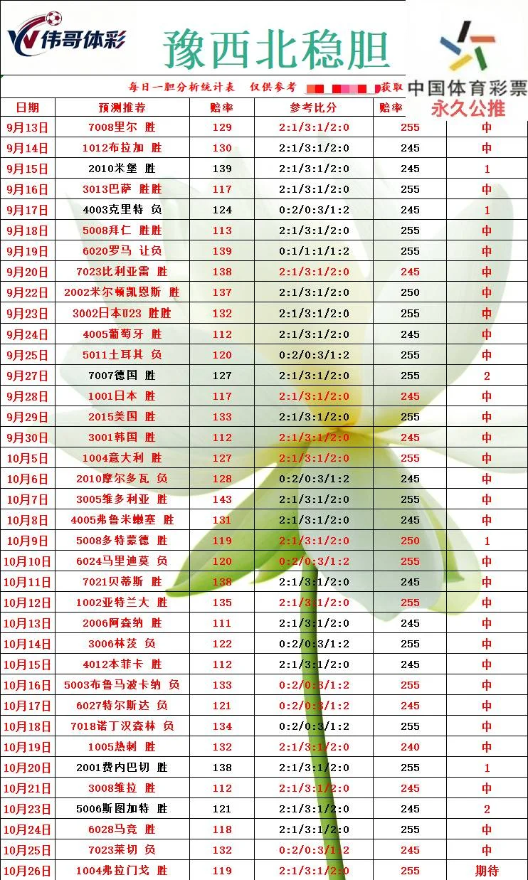 阿里山财鑫豫西北伟哥老张篮球赛事分析