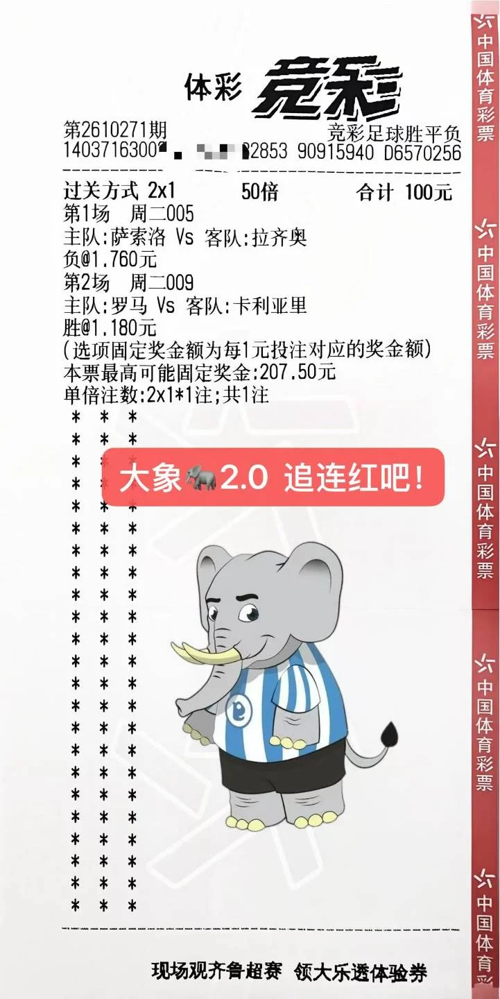 大象赛事分析