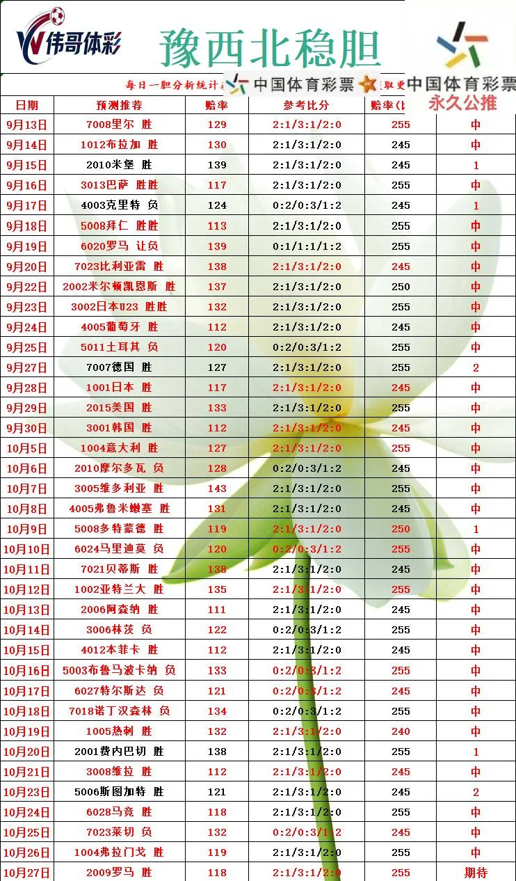 老张赛事分析