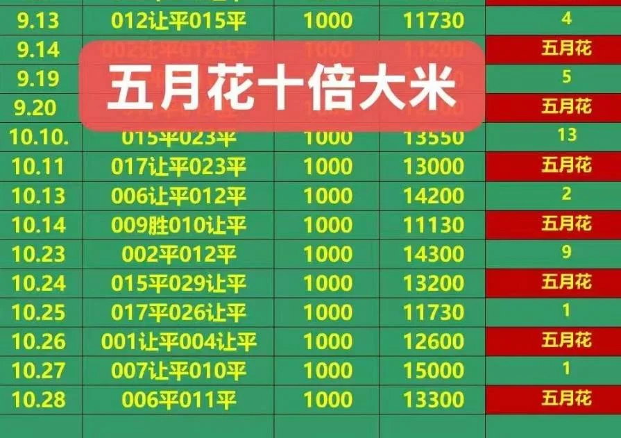 五月花赛事分析