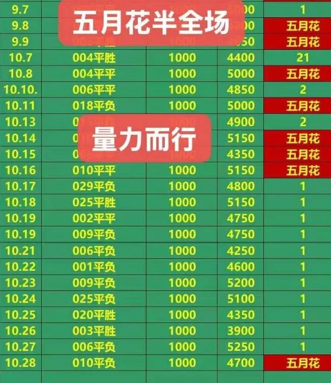五月花赛事分析