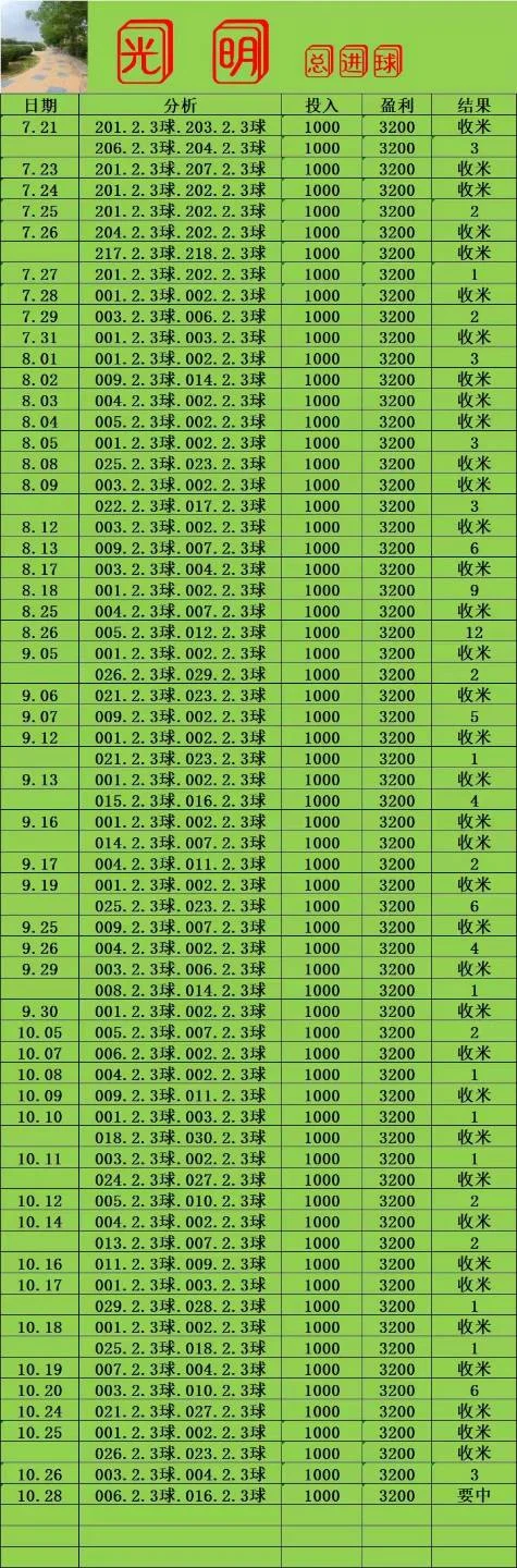 光明系列赛事分析
