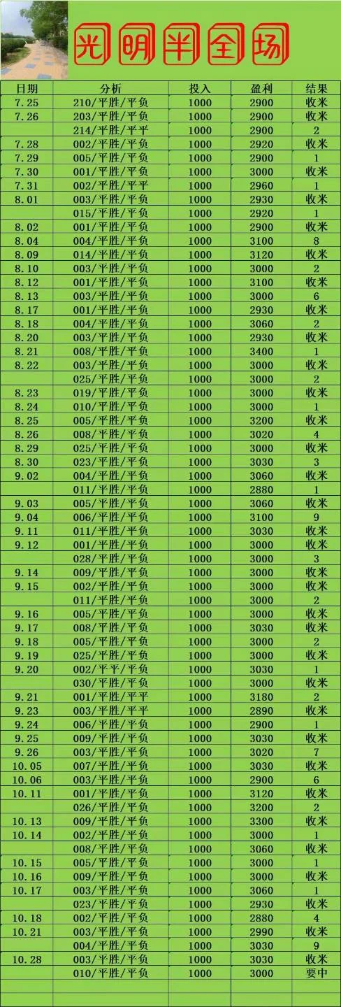 光明系列赛事分析