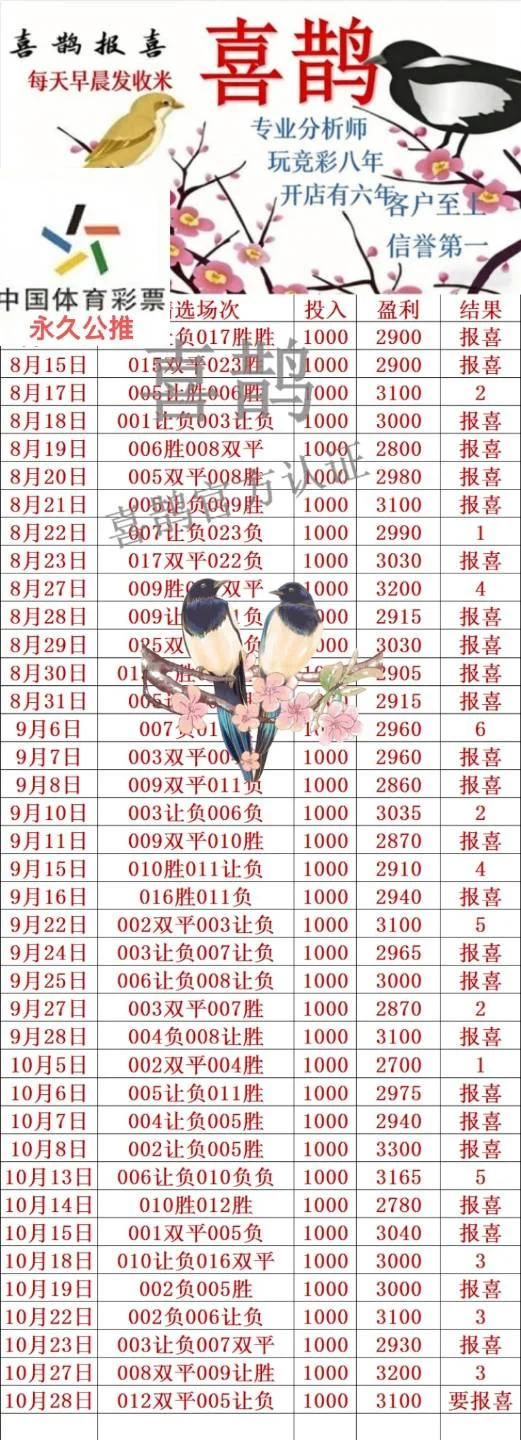 喜鹊赛事分析
