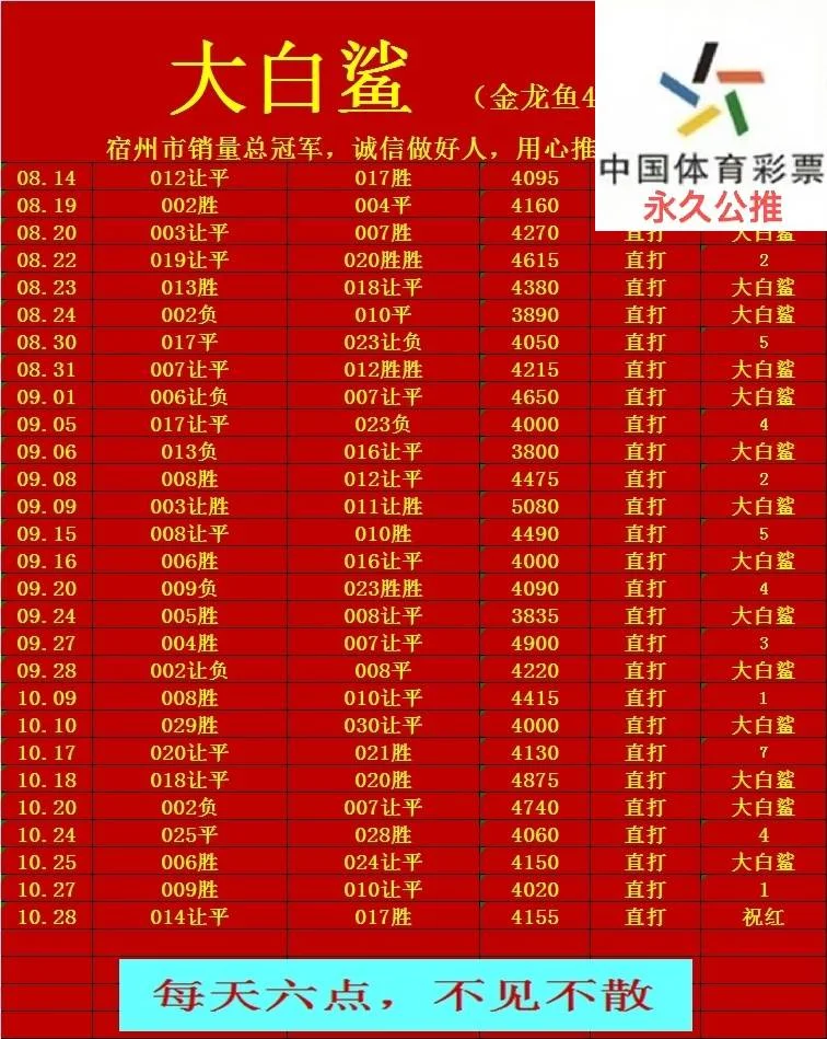 大白鲨赛事分析