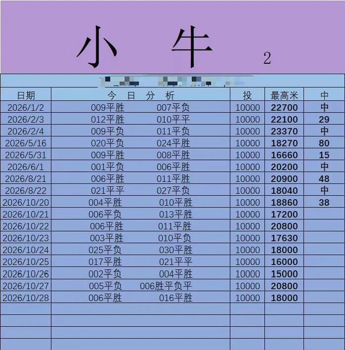小牛赛事分析