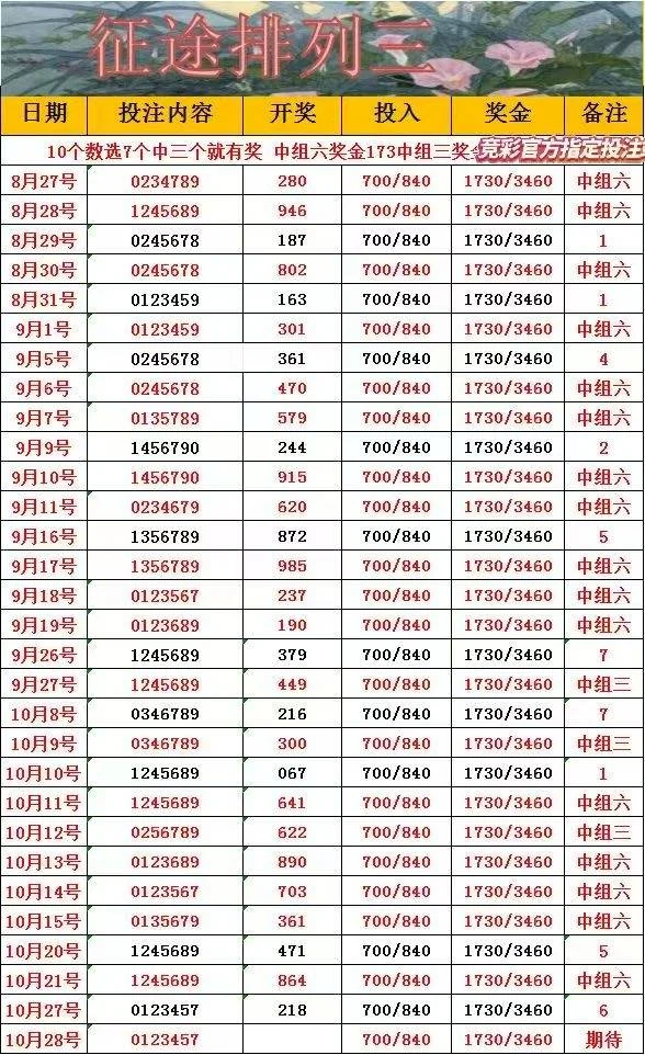 征途赛事分析