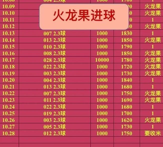 火龙果赛事分析