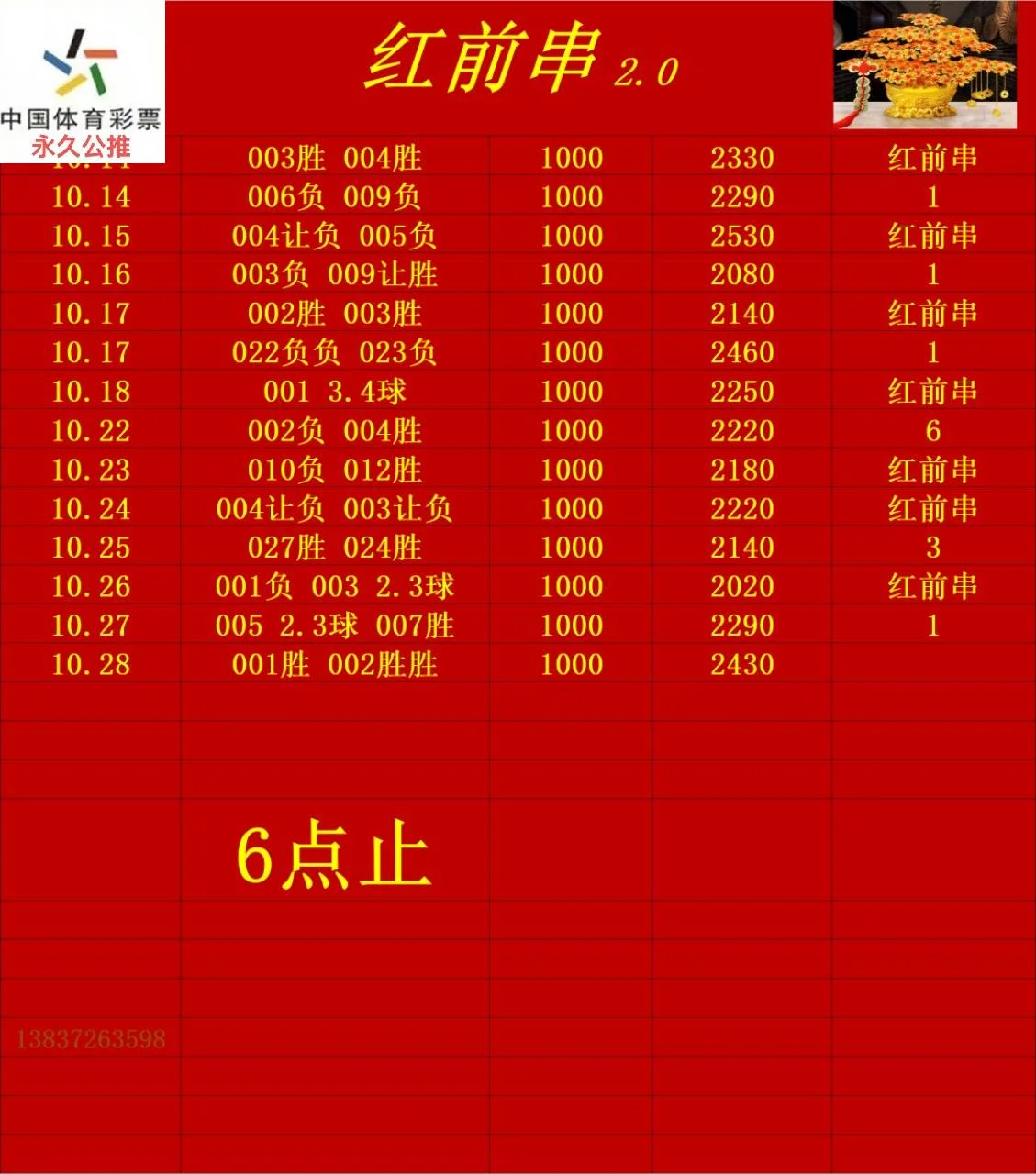 红豆赛事分析