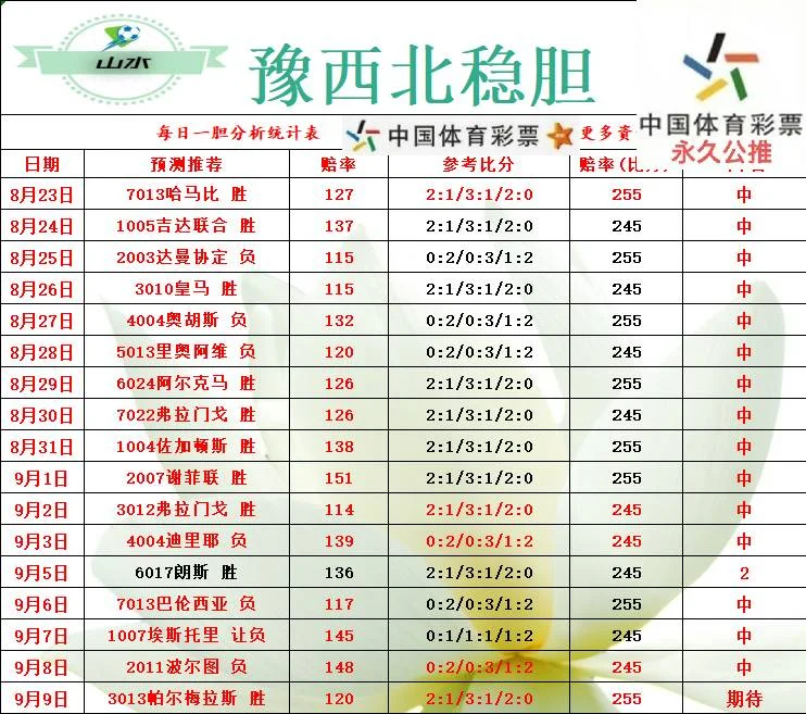 伟哥赛事分析