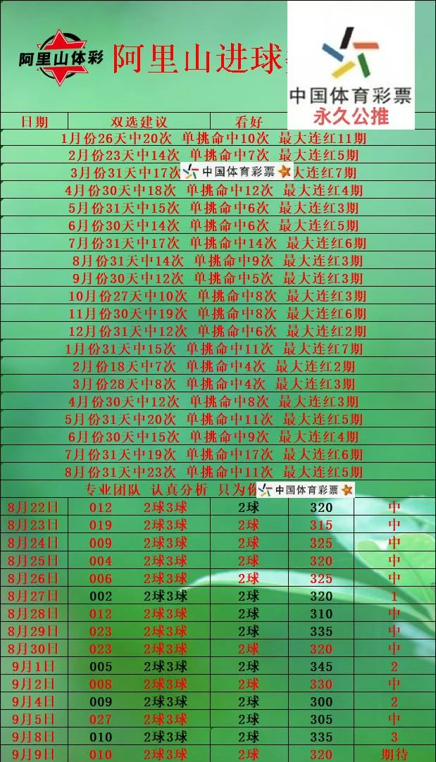 伟哥赛事分析