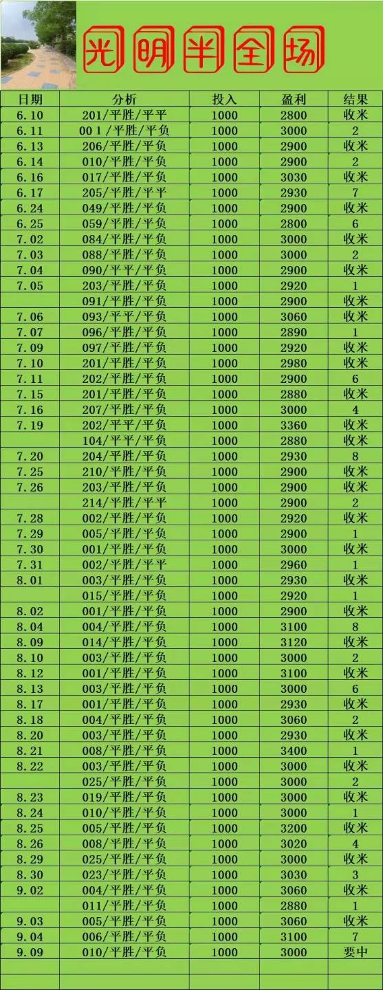 光明系列赛事分析
