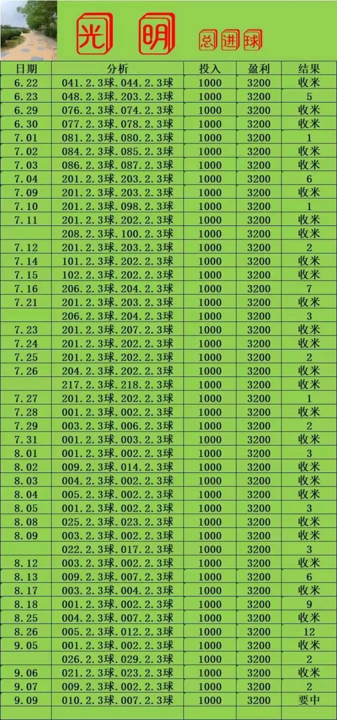 光明系列赛事分析