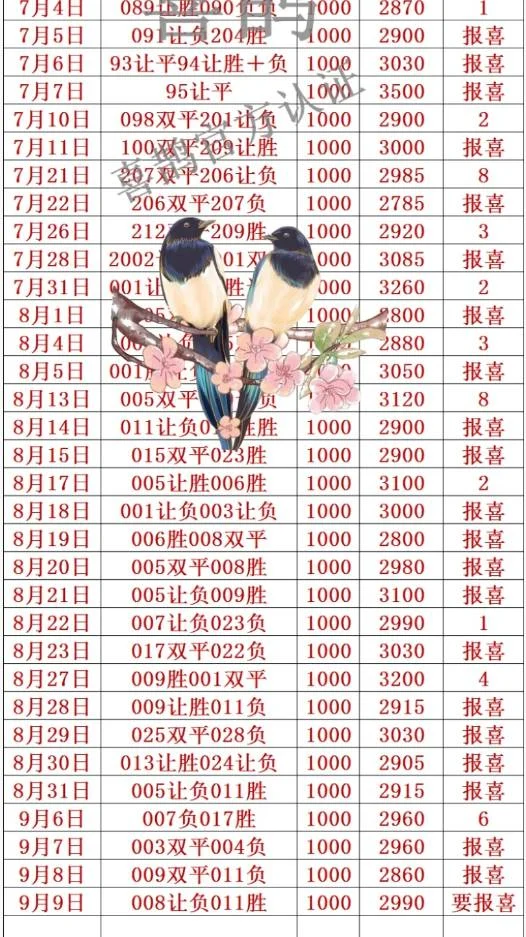 喜鹊赛事分析