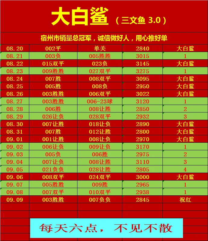大白鲨赛事分析