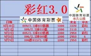 彩红赛事分析