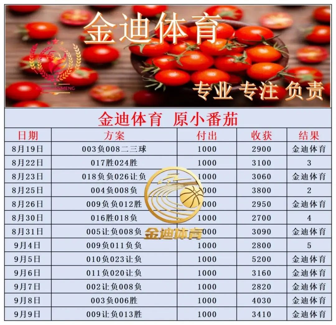 金迪赛事分析
