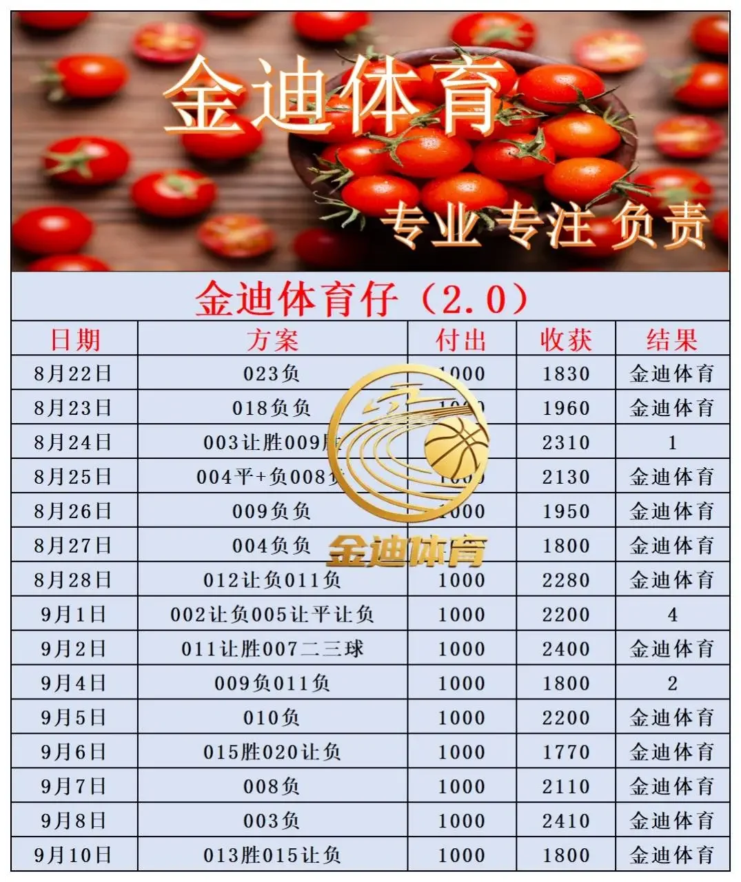 金迪赛事分析