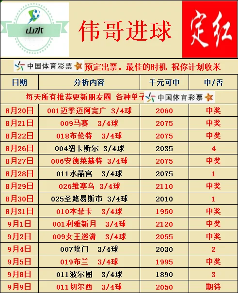 阿里山赛事分析