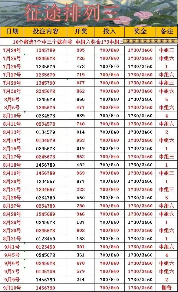 征途赛事分析