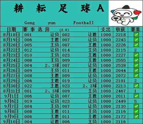耕耘足球A赛事分析