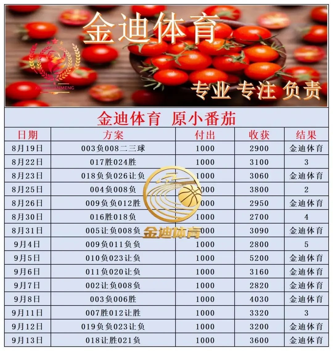 金迪更正赛事分析