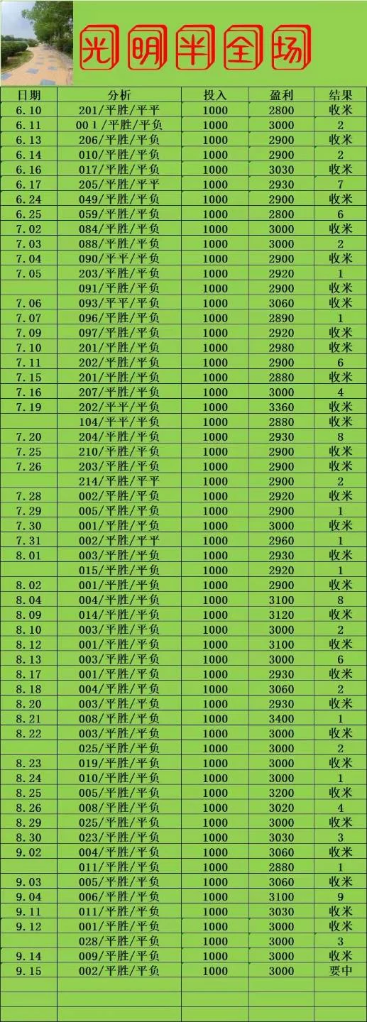 光明赛事分析
