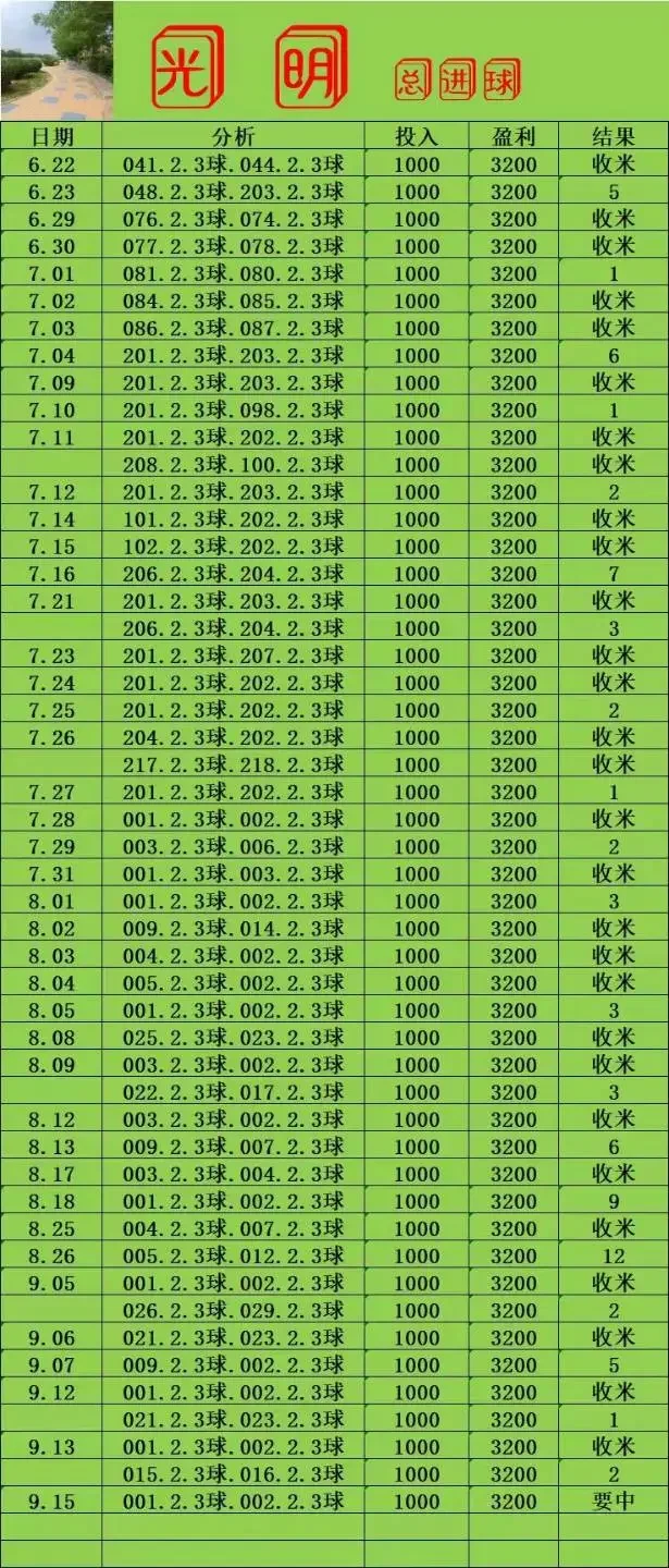 光明赛事分析